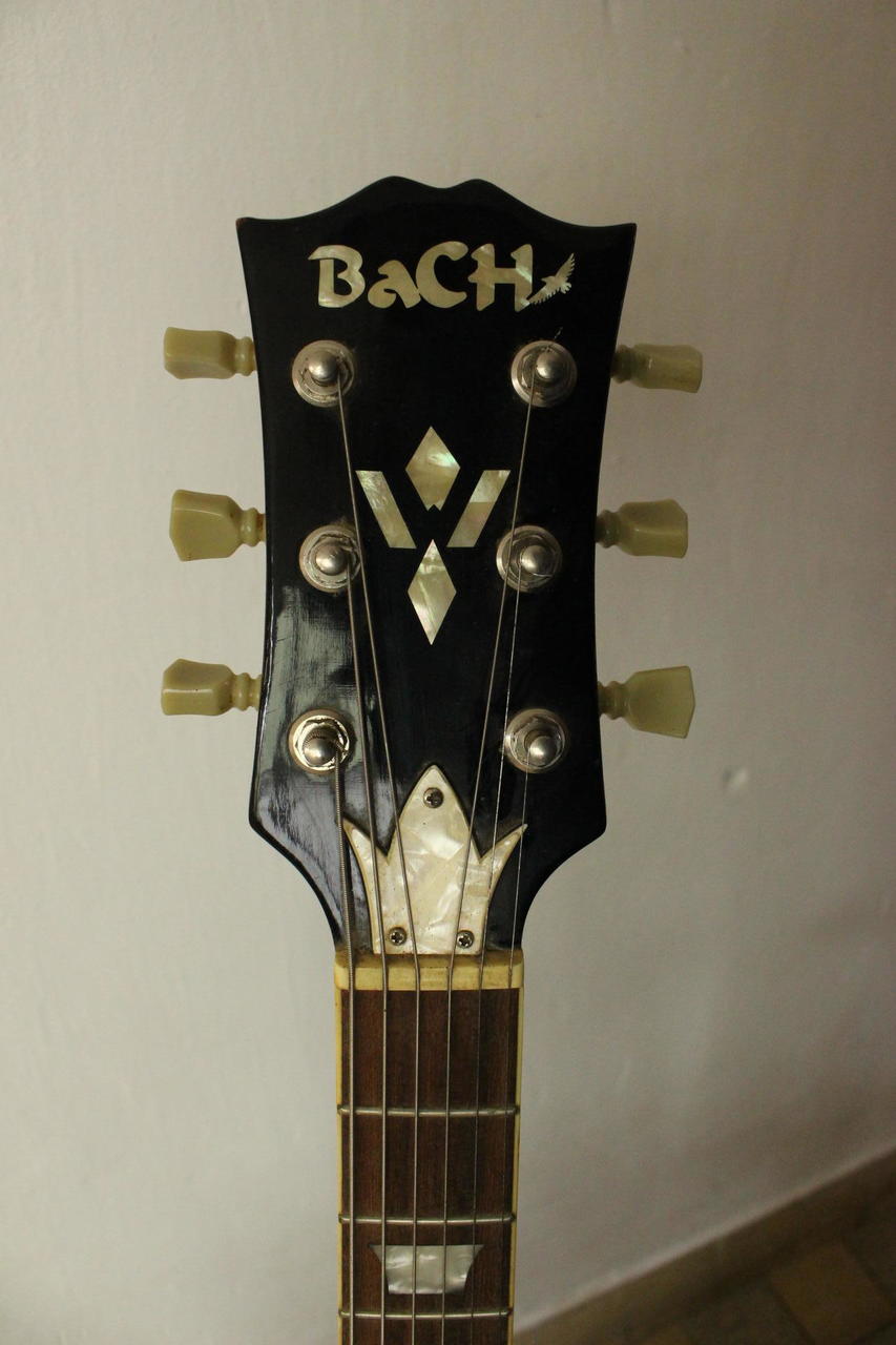 NAB Z M Elektrick Kytara Bach PROD NO NAB Z M Elektrick Kytara Bach PROD NO